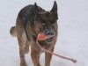 wchaos_7yr9mos1
