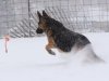 wchaos_7yr9mos10