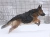 wchaos_7yr9mos13