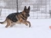 wchaos_7yr9mos16