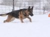 wchaos_7yr9mos17
