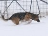 wchaos_7yr9mos3