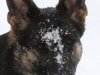 iglorytoo_19mos_head1