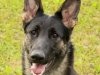 rglorytoo_14mos_head2