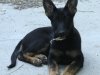 wglorytoo_12wks27