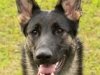 wglorytoo_14mos_head1