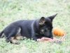 wglorytoo_8wks10
