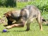 wjamboree-21wks20