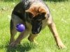 wjamboree-21wks25