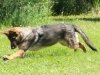 wjamboree-21wks26