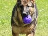 wjamboree-21wks4