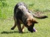 wjamboree-21wks44