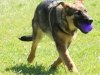 wjamboree-21wks45