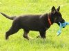 wll9wks-orange11