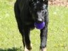wmercy-21wks12