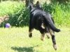 wmercy-21wks15