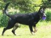 wmercy-21wks19