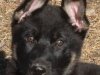 wmercy8wks_head2